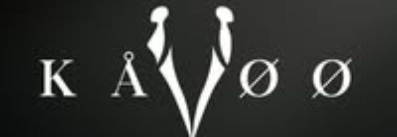 KAVOO APPAREL INC