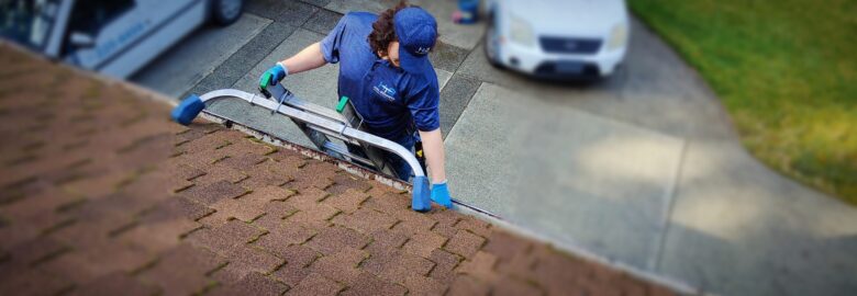 Puyallup Moss Treatment
