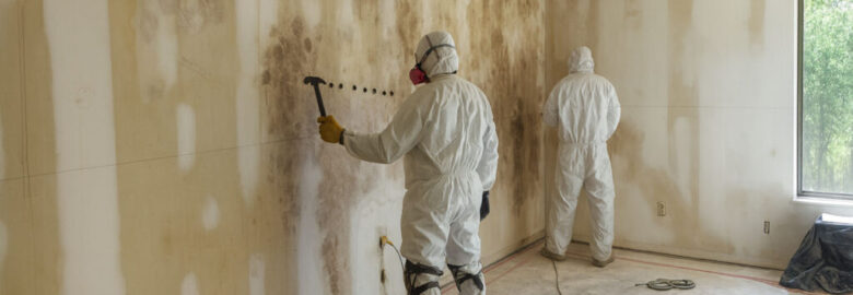 Dustless Demolition Ltd