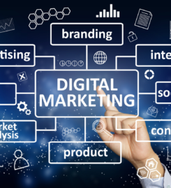 Best Digital Marketing Course in Jaipur | Cadrank Training