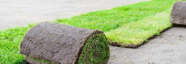 Artificial Grass Installation Addison