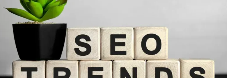 SEO in Oakville for Strong Local Business Growth