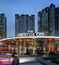 TierraVista: Real Estate Company in Noida