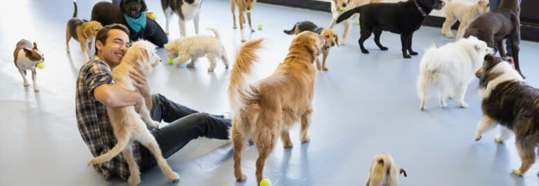 Animal Day Care Lents